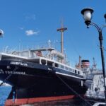 Discover the Best of Yokohama: 4.5-Hour Day Tour - Practical Tips for Making the Most of the Tour