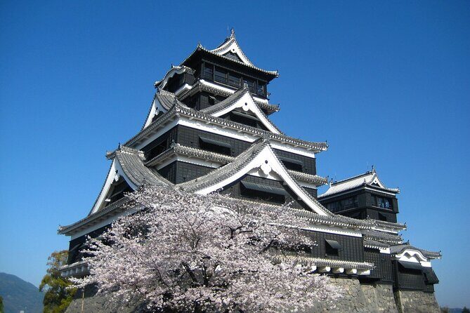 Discover the Wonders of Kumamoto Tour Ramen lunch included - Who Is This Tour Best For?