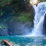 Discover Ubud: Exotism Ubud and Optional Meet the Bali Shaman - A Deep Dive into the Ubud Full-Day Tour