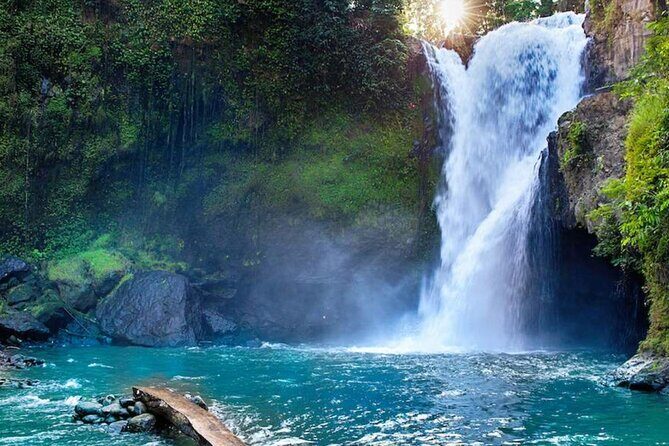 Discover Ubud: Exotism Ubud and Optional Meet the Bali Shaman - A Deep Dive into the Ubud Full-Day Tour