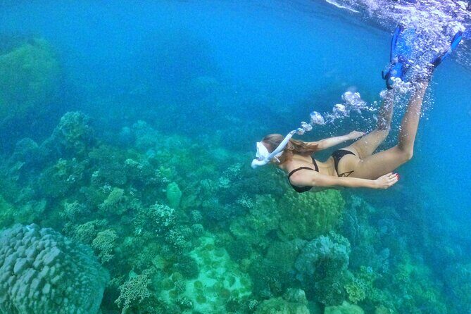 [DISCOVERY SNORKELING] 4 Islands-2 Reefs & BBQ [MAX 12 PAX] - FAQ: Your Questions Answered