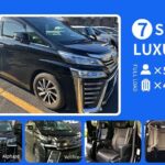 Disneyland or Disneysea Transfer to or from Tokyo English Driver - In-Depth Review: What You Get and How It Adds Value