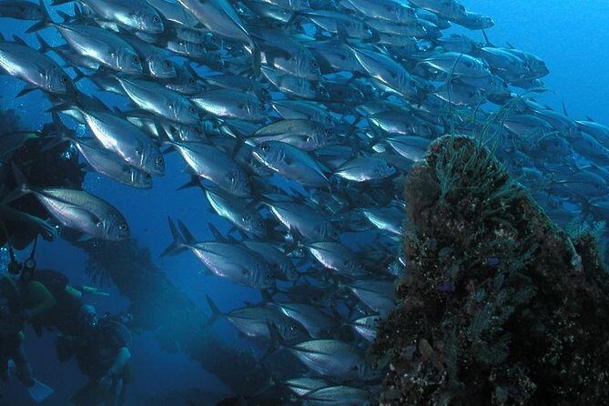Dive at Tulamben Bali USS Liberty Ship Wreck - How the Experience Comes Together