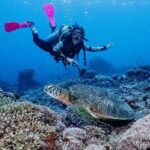 Diving with Manta Ray at Nusa Penida - FAQs