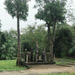 Dmz Group Tour Full Day - A Detailed Look at the Tour Experience