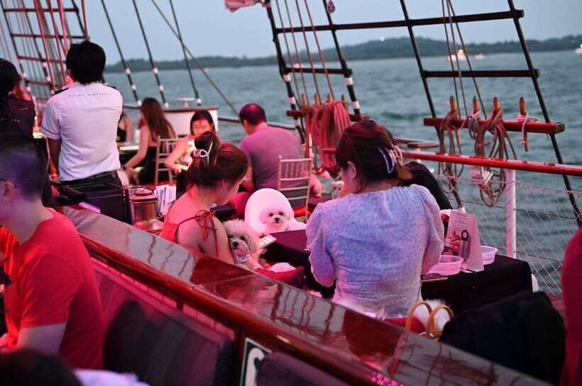 Dog Cruise onboard a Tall Ship with 4 Course Meal - Final Thoughts: Is It Worth It?