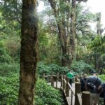 Doi Inthanon National Park Private Tour  Full Day - Authentic Experiences You’ll Take Home