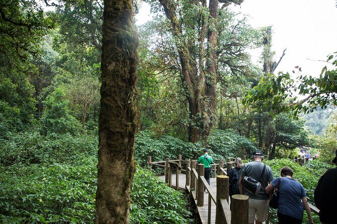 Doi Inthanon National Park Private Tour  Full Day - Authentic Experiences You’ll Take Home