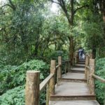 Doi Inthanon Summit Waterfalls and Hill Tribe Day Tour - The Spectacle of Wachirathan Waterfalls