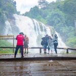 Doi Inthanon Waterfalls Rice Fields Tour from Chiang Mai - Analyzing the Experience: What Travelers Say