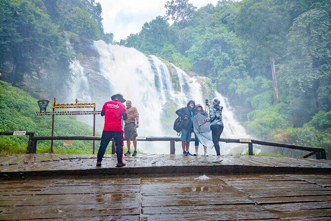 Doi Inthanon Waterfalls Rice Fields Tour from Chiang Mai - Analyzing the Experience: What Travelers Say
