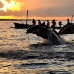 Dolphin Tour and Sunrise Watching in Lovina Beach - All Inclusive - The Downside? Considerations and Caveats