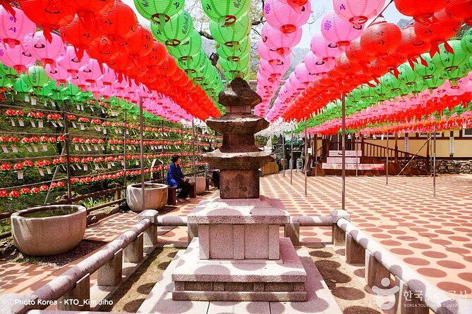 Donghaksa Temple Cherry Blossom and Jeonju Hanok Village - An In-Depth Look at the Tour Experience