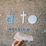 Dreamy Day Trip in Kobe - The Sum Up