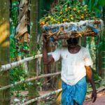 Dudhsagar waterfall wildlife & spice plantation Tour in Goa - Why This Tour Is a Great Value