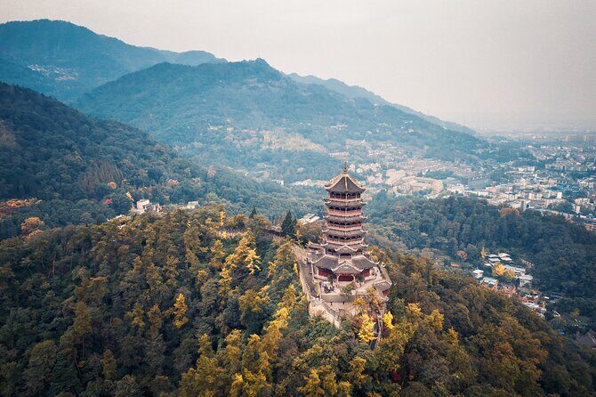 Dujiangyan Irrigation System and Panda Base Day tour - An In-Depth Look: What to Expect from the Tour