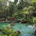 Dumaguete City Tour and Countryside Tour - Who Should Consider This Tour?