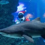 Duo SEA LIFE and Madame Tussauds Ticket in Bangkok - Madame Tussauds: The Celebrity Spotting Adventure