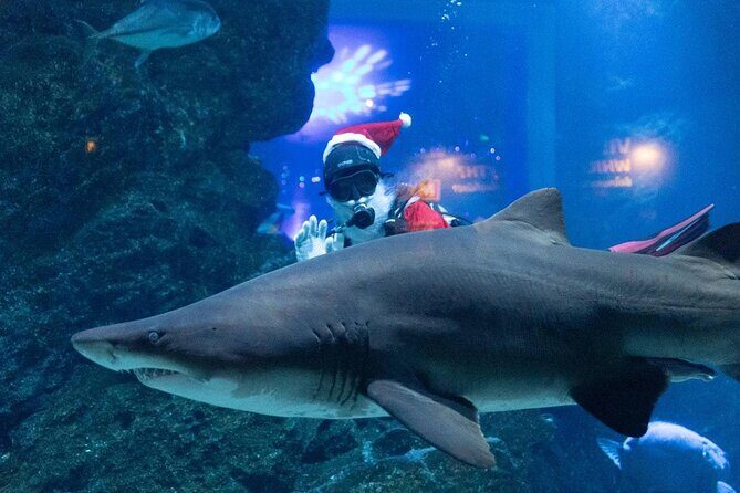 Duo SEA LIFE and Madame Tussauds Ticket in Bangkok - Madame Tussauds: The Celebrity Spotting Adventure