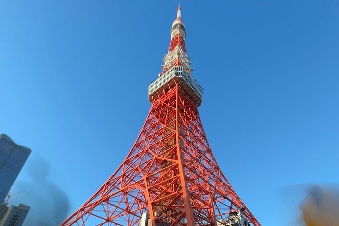 Dynamic Tokyo Private Custom Walking Tour - The Sum Up: Why Choose the Dynamic Tokyo Private Custom Walking Tour?