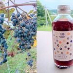 E-bike tour in the country side of Saitama near Tokyo - What Makes This Tour Special?