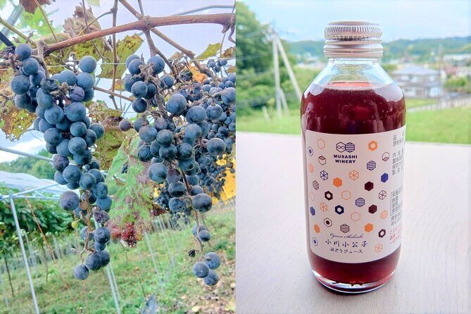 E-bike tour in the country side of Saitama near Tokyo - What Makes This Tour Special?