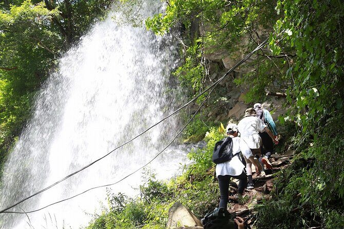 E-bike Tour through Forests and Springs on a 1000m Plateau - Who Will Love This Tour?