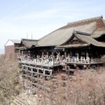 Eastern Kyoto Walking Tour with Local Guide - FAQ