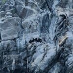 Eco Night Kayak Cruise: Bioluminescent Plankton in Lan Ha Bay - In-Depth Review of the Lan Ha Bay Night Kayak Tour