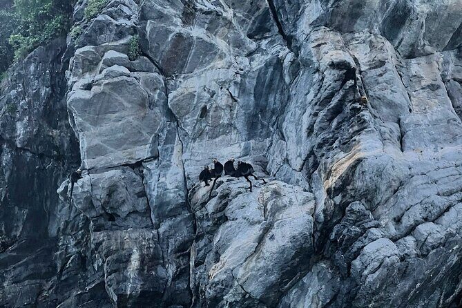 Eco Night Kayak Cruise: Bioluminescent Plankton in Lan Ha Bay - In-Depth Review of the Lan Ha Bay Night Kayak Tour