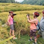Electric bicycle tour in Jatiluwih UNESCO site - Why This Tour Offers Great Value