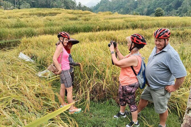 Electric bicycle tour in Jatiluwih UNESCO site - Why This Tour Offers Great Value