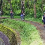 Electric bicycle tour in quaint South Ubud - The Practical Aspects