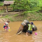 Elephant Care & Bathing Chiang Rai - Why This Tour Offers Great Value