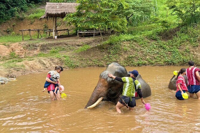 Elephant Care & Bathing Chiang Rai - Why This Tour Offers Great Value