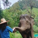 Elephant Experience and Hidden Jungle Waterfall Chiang Mai - Final Thoughts
