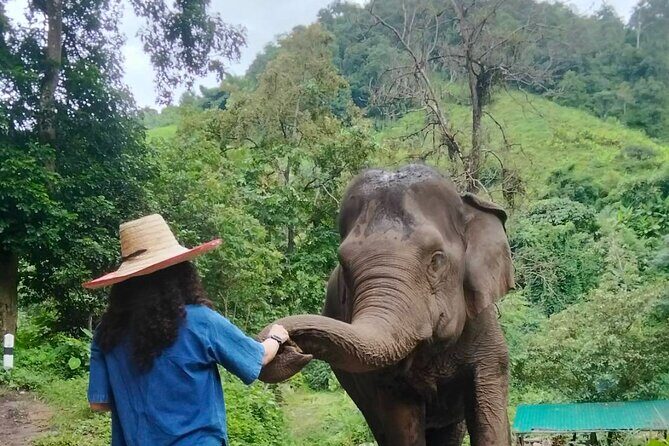Elephant Experience and Hidden Jungle Waterfall Chiang Mai - Final Thoughts