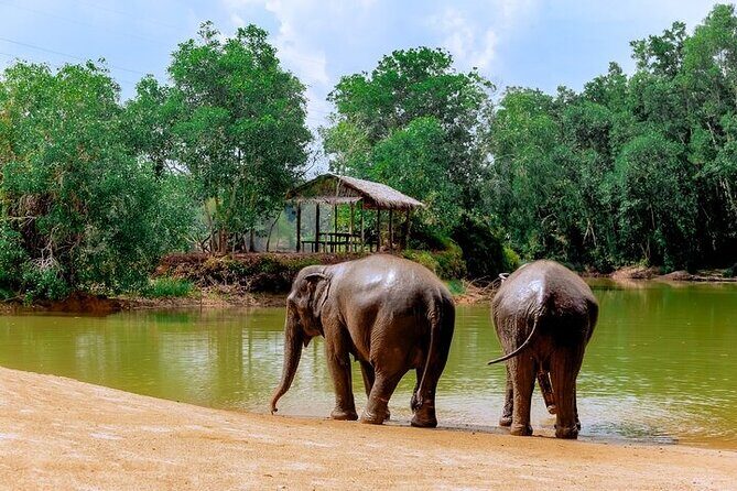 Elephant Sanctuary Small Group Tour in Phuket - Practical Tips for Your Visit