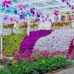 Elevate Your Senses: A Day of Wonders in Cameron Highlands! - FAQs