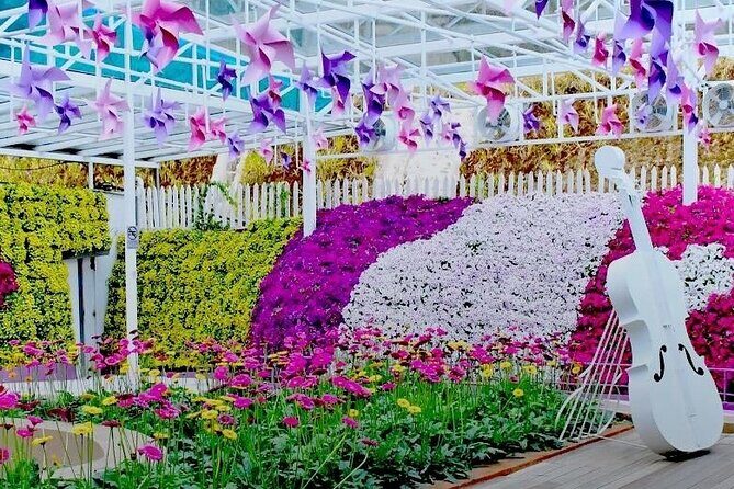 Elevate Your Senses: A Day of Wonders in Cameron Highlands! - FAQs