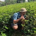 Ella: Day Tour From Kandy with Train Ride - The Experience: What Travelers Say