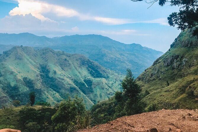 Ella Day Tour with Tea Factory visit From Pasikudah - What We Loved About the Tour