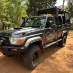 Ella: Highlands to Coast Tour With Safari & Village Lunch - Yala National Park: One of Asia’s Best Wildlife Hotspots