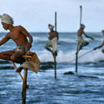 Ella to Mirissa,Weligama,Ahangama (Private Transfer ) - Conclusions