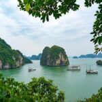 Emperor Cruise Halong: 3 Days 2 Nights Hideaway - Day 2: Immersive Exploration and Activities
