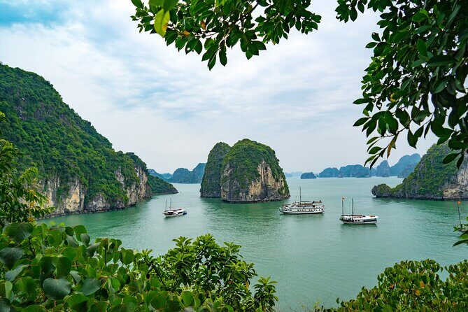 Emperor Cruise Halong: 3 Days 2 Nights Hideaway - Day 2: Immersive Exploration and Activities