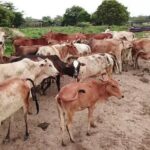 Enjoy 10 cultural activities of India all at one place in Delhi - Frequently Asked Questions (FAQs)