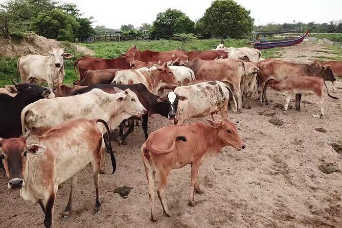 Enjoy 10 cultural activities of India all at one place in Delhi - Frequently Asked Questions (FAQs)