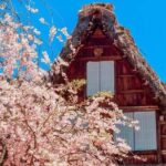 Enjoyable One day Bus Tour From Nagoya - Practical Details: What You Should Know