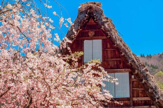 Enjoyable One day Bus Tour From Nagoya - Practical Details: What You Should Know